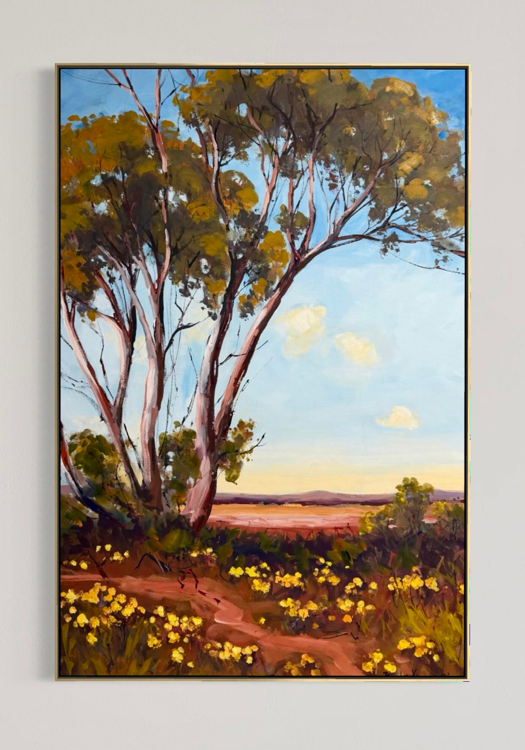 Spring Amongst The Eucalyptus