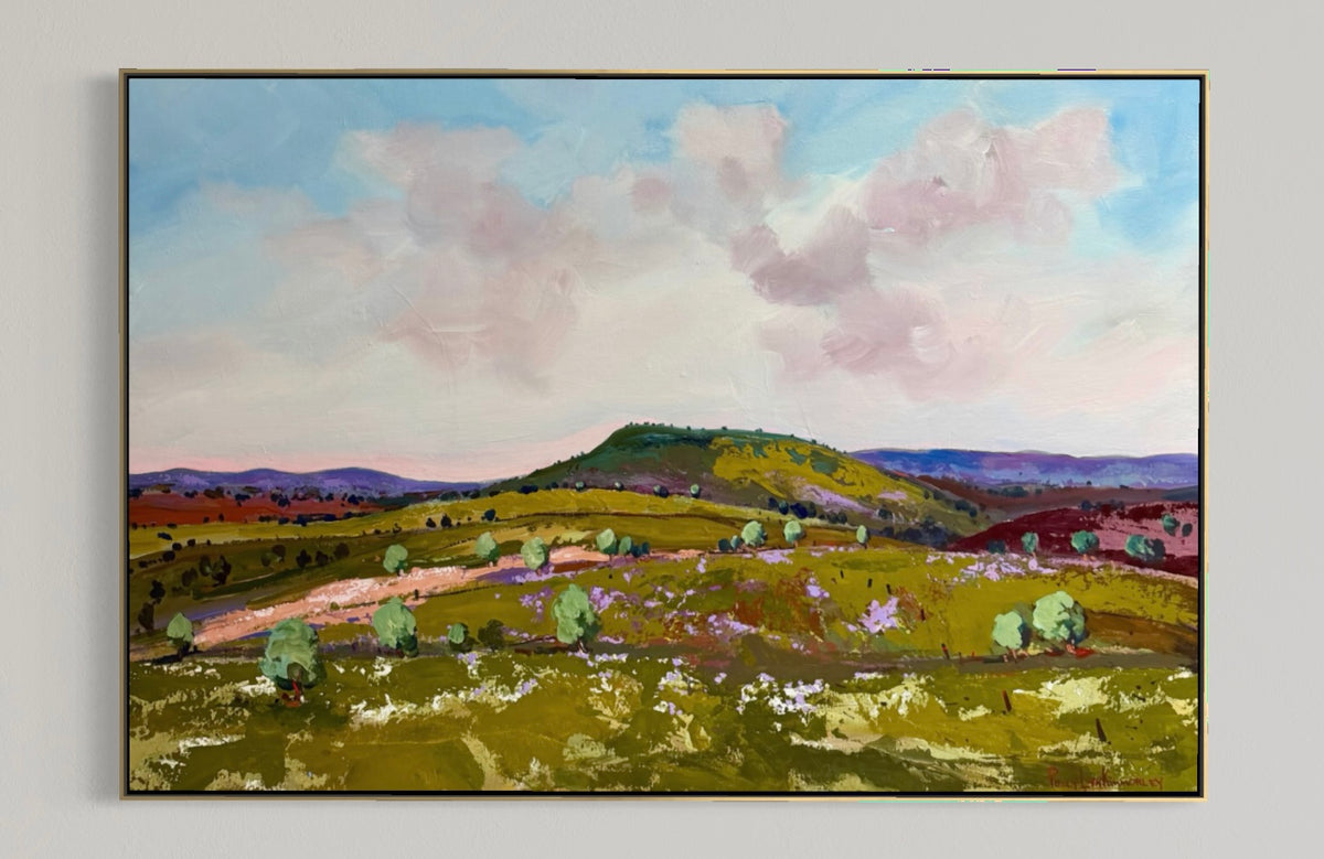 Fresh Air In The Flinders