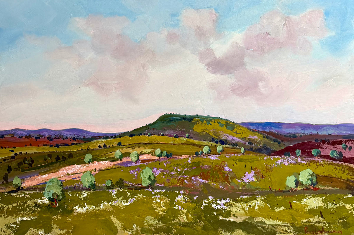 Fresh Air In The Flinders