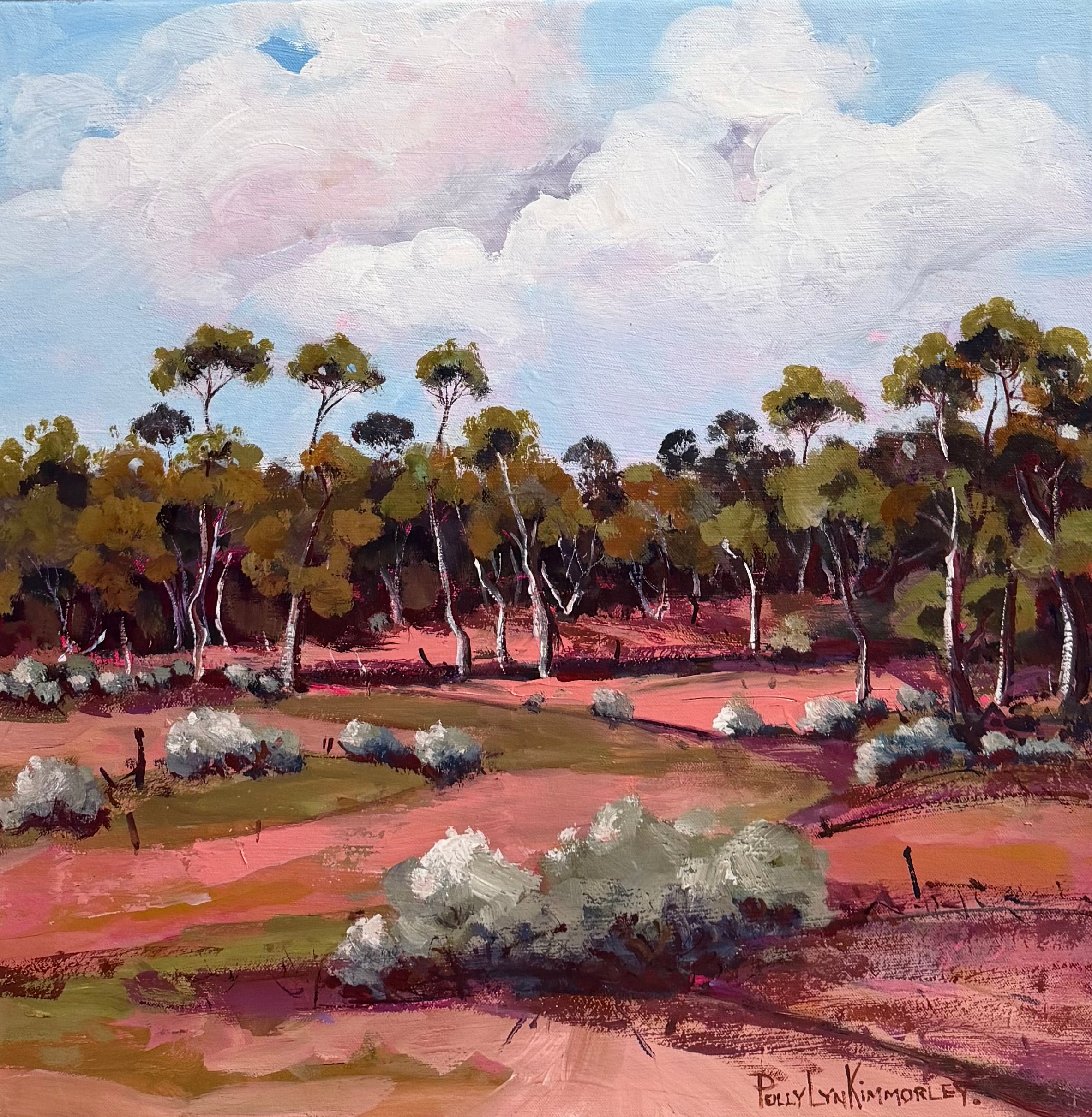 Nullarbor Gully