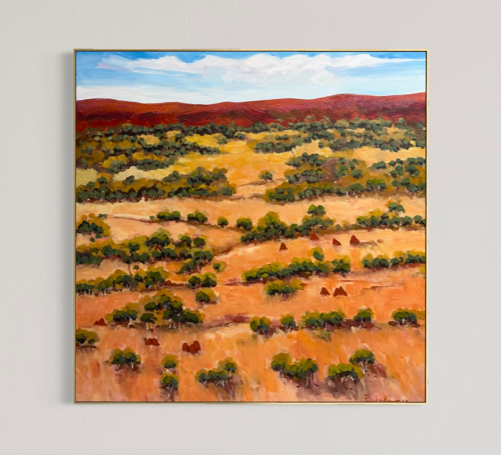Northern Territory Landscape