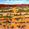 Northern Territory Landscape