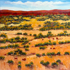 Northern Territory Landscape