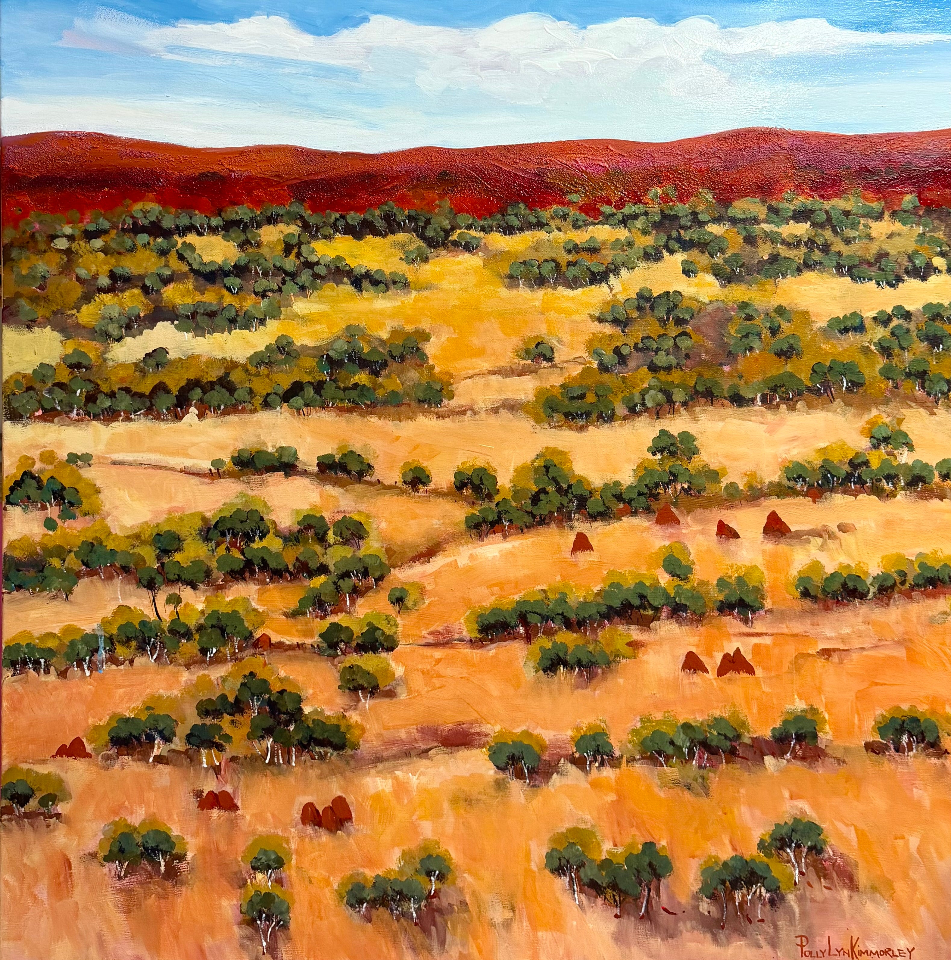Northern Territory Landscape