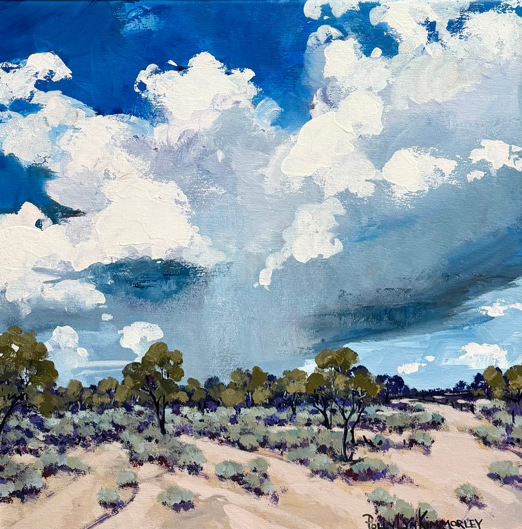 Passing By Near Flinders Ranges