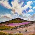 Salvation Jane In The Flinders