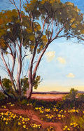 Spring Amongst The Eucalyptus