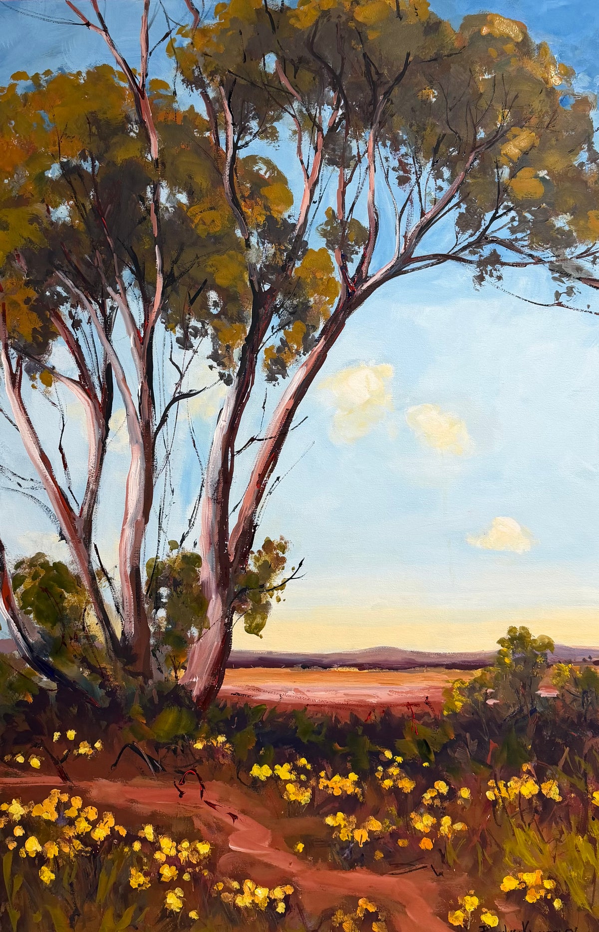 Spring Amongst The Eucalyptus