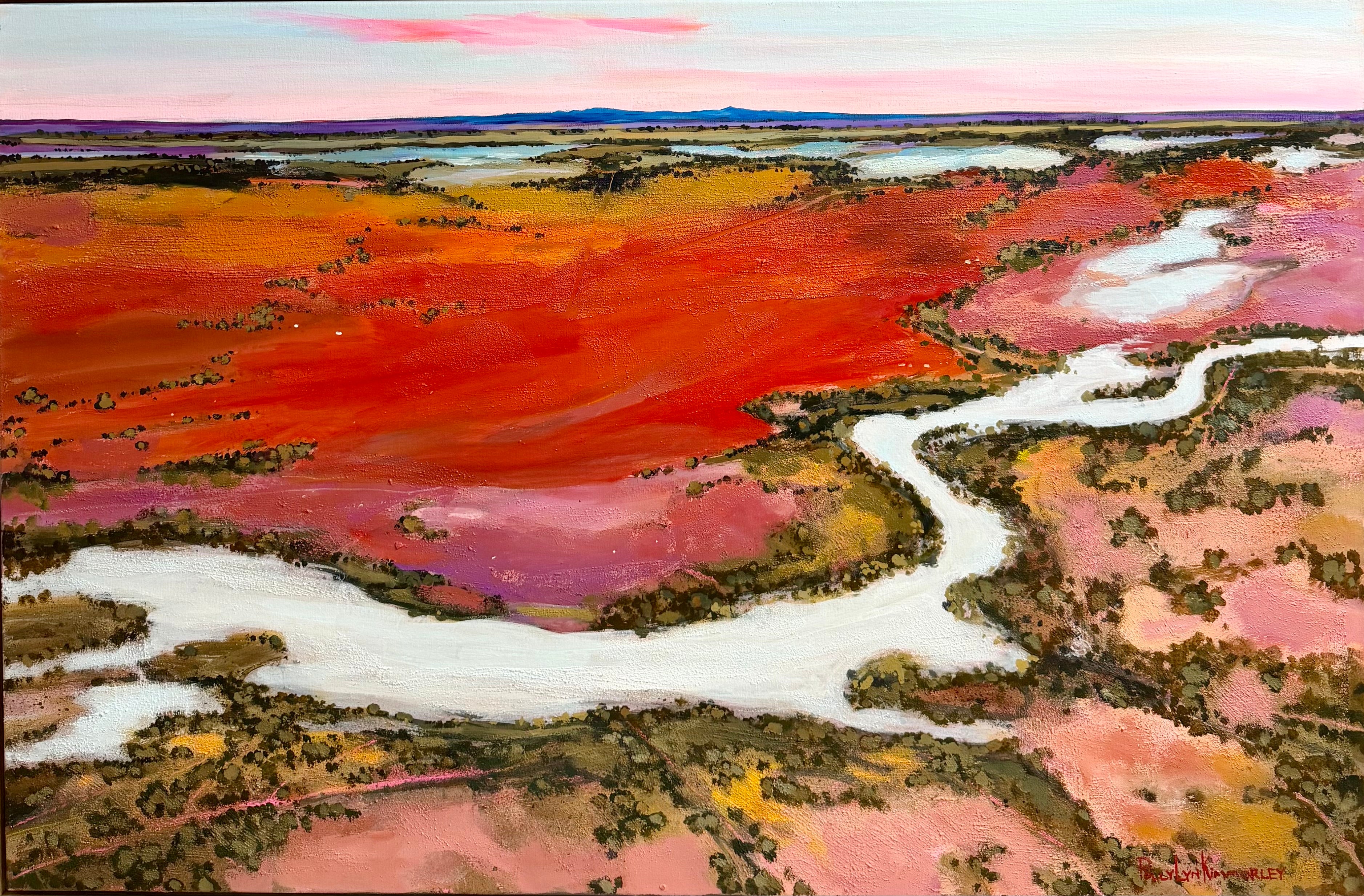 Warrego Floodplain